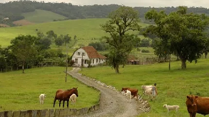 imovelRural